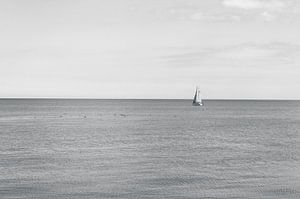 Segeln Segelboot 
