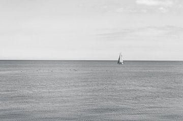 Sailing Sailboat by Melvin Fotografie