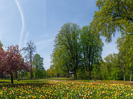 Parc Wilhelmina à Breda sur I Love Breda