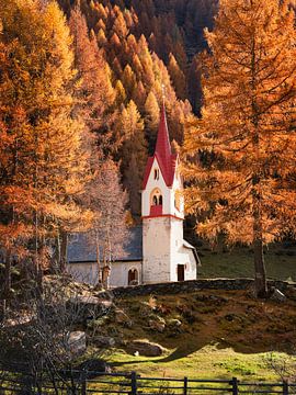 Herfst in Dolomieten Italië Reisfotografie van Dagmar Pels