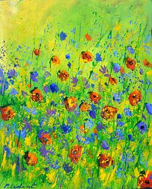 Rote Mohnblumen und blaue Kornblumen