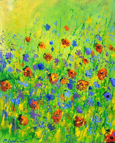 Rode klaprozen en blauwe korenbloemen