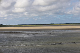 Bilder von der Nordseeinsel Borkum. von Bianca Meyering Fotos - BMF