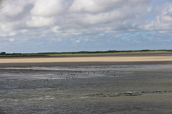 Bilder von der Nordseeinsel Borkum.