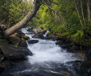 Waterval in het natuurpark La Vall de Sorteny, Andorra