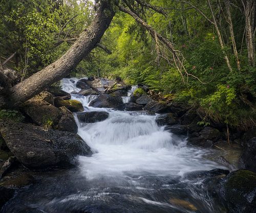 Waterval in het natuurpark La Vall de Sorteny, Andorra