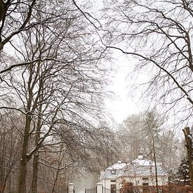 path nature – Schlosspark Apeldoorn von Salt & Skin