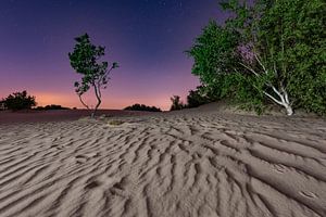 Die Nacht – Nationalpark De Loonse en Drunense Duinen von Laura Vink