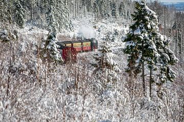 The Brocken railway near Schierke by t.ART