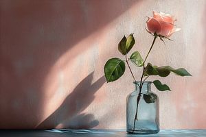 Ruhige Rose in Rosa