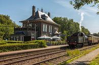 Dampfzug im Bahnhof Schin op Geul von John Kreukniet Miniaturansicht