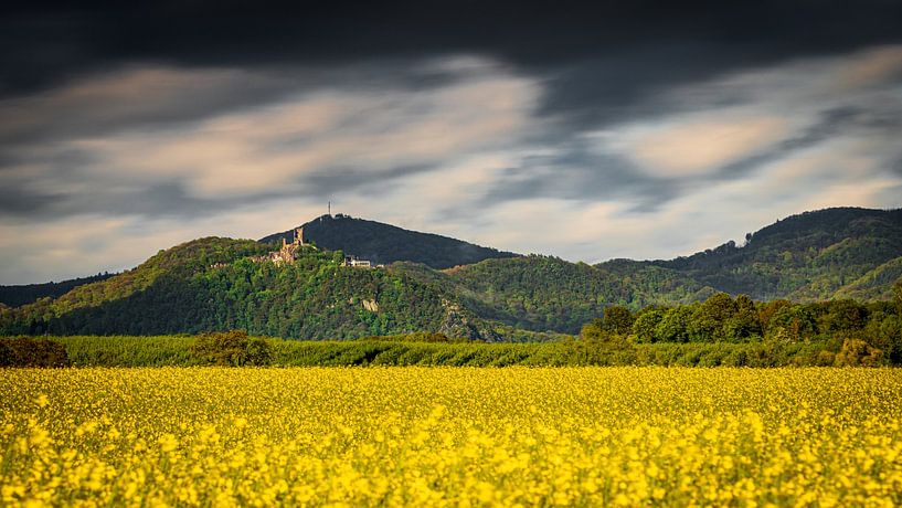Wachtberg by Jens Unglaube