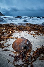 The beach at Alnes, Godøy, Sunnmøre, Møre og Romsdal, Norway by qtx