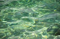 colourful water surface.