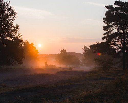 Voordat de hitte toeslaat