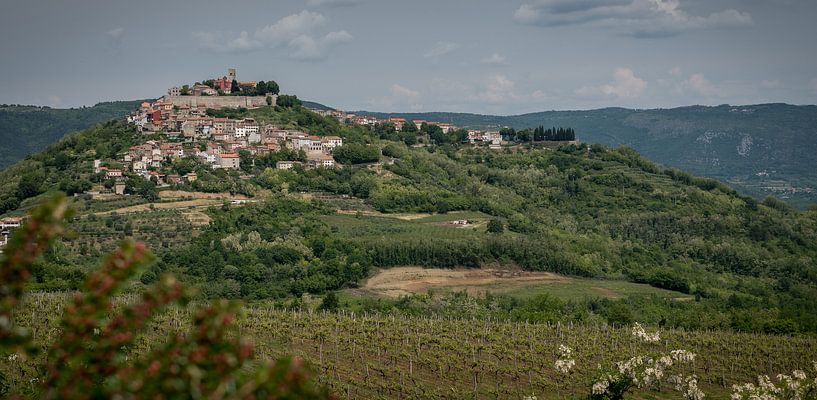 Motovun Kroatië by Johan Vet
