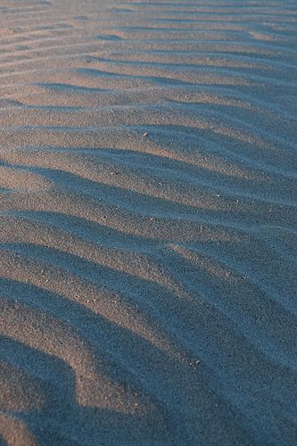 Sable ondulé sur une plage de sable - gros plan de petites collines dans les dunes au lever du soleil