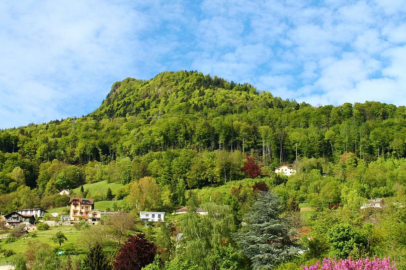 Colourbursting mountain van Tamara Photography