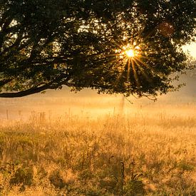 De Zumpe, Doetinchem van Natuurlijk Achterhoek