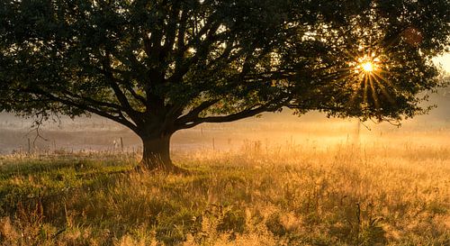 De Zumpe, Doetinchem