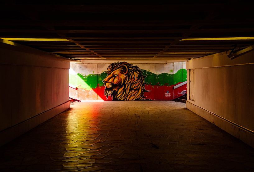 Jah Bulgaria!!! by Nicolas Deman