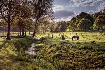 Meadow Castle Farm Terborgh by Rob Boon