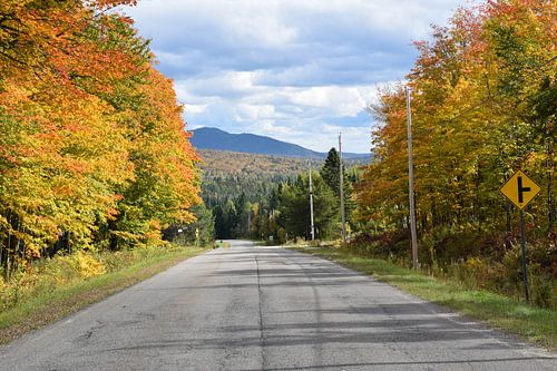 La route du village en automne