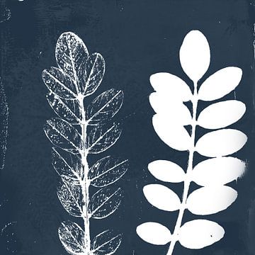 Botanische Illustration von zwei Zweigen in Marineblau. Monoprint. von Dina Dankers