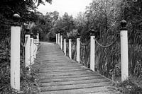 Bruggetje in zwart-wit