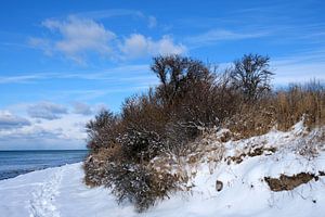 L'hiver sur la haute rive