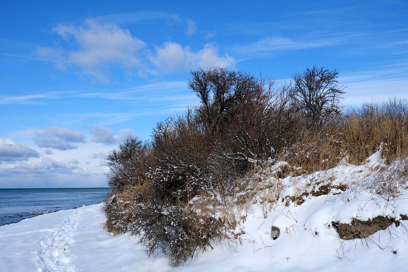 Winter op de hoge oever van Ostsee Bilder