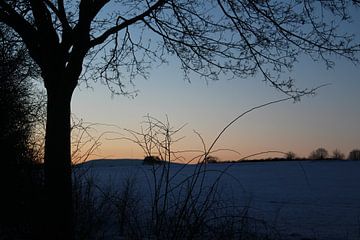 Blick im Winter in Richtung Kreuzberg in der Rhön