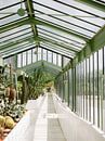 Paris Botanical Gardens | France travel photography by Raisa Zwart Travel Photography Prints thumbnail