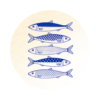 Parchment Circle: A Five Indigo Fish Study