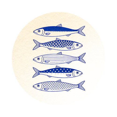 Parchment Circle: A Five Indigo Fish Study