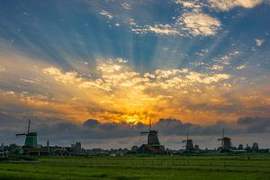 sunbeams merveilleux au parc moulin Zaanse aux Pays-Bas sur Ardi Mulder