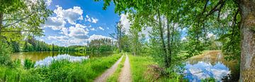 Panoramisch landschap natuur op een mooie bewolkte zonnige dag met meer en onverharde weg van Alex Winter