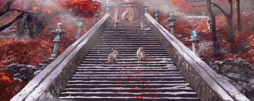 Affen-Tempel von Rocky Schouten