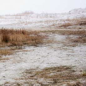 Mistige morgen op Schiermonnikoog von Wies Steenaard