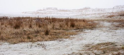 Mistige morgen op Schiermonnikoog von Wies Steenaard