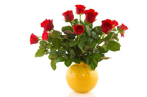 Bouquet de roses rouges dans un vase jaune