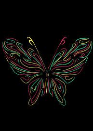 Butterfly by Donie Dis