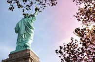 Vrijheidsbeeld, Statue of Liberty, New York van Maarten Egas Reparaz thumbnail