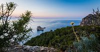 Sant Antoni de Portmany, Ibiza