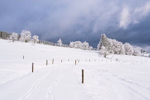 Winterlandschap in het Thüringer Woud