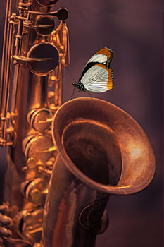 Papillon au saxophone (peinture à l'huile numérique)