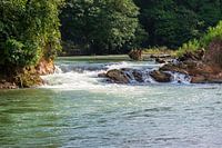 Sarapiquí Rivier, Selva Verde, regenwoud in Costa Rica