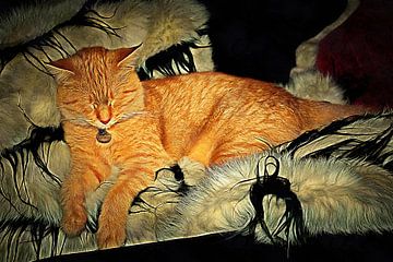 Bijna Slapende Ginger Kat van Dorothy Berry-Lound