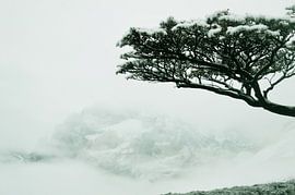 Opdoemend berglandschap in de mist in Torres del Paine, Chili von Carl van Miert