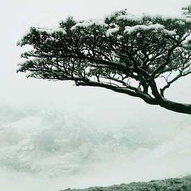 Opdoemend berglandschap in de mist in Torres del Paine, Chili sur Carl van Miert